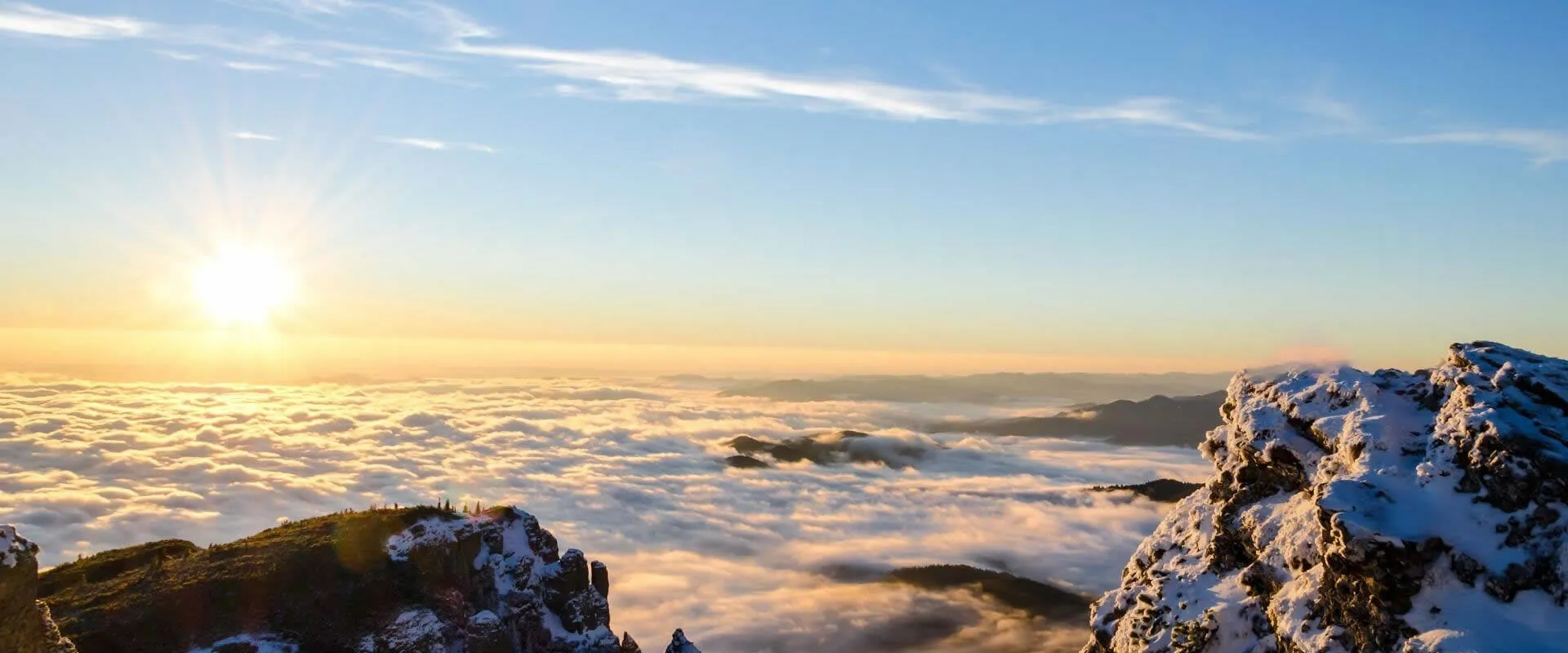 Backed by advanced processing capabilities